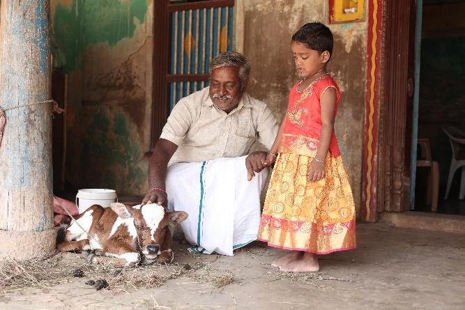 Arivalagal petting a calf with Ajantha