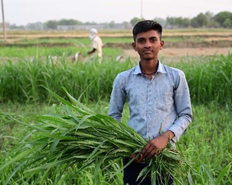 Monu holding grass after cleft surgery